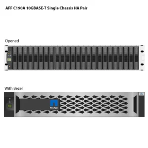 存储 NetApp AFF C190A