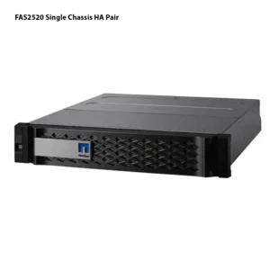 存储 NetApp FAS2520HA